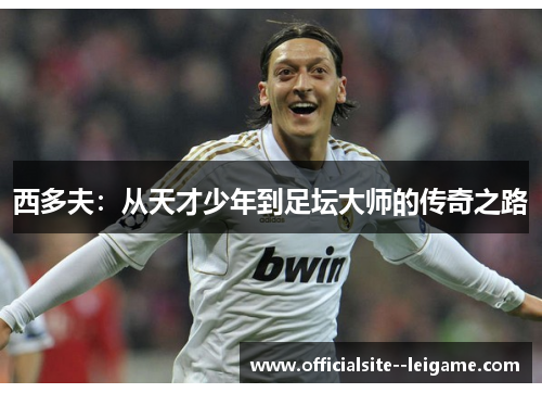 西多夫：从天才少年到足坛大师的传奇之路