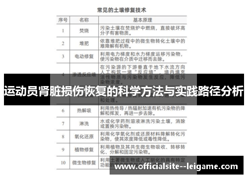 运动员肾脏损伤恢复的科学方法与实践路径分析