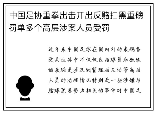 中国足协重拳出击开出反赌扫黑重磅罚单多个高层涉案人员受罚